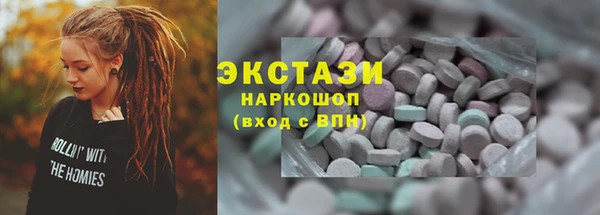 ECSTASY Богданович