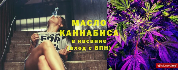 ECSTASY Богданович